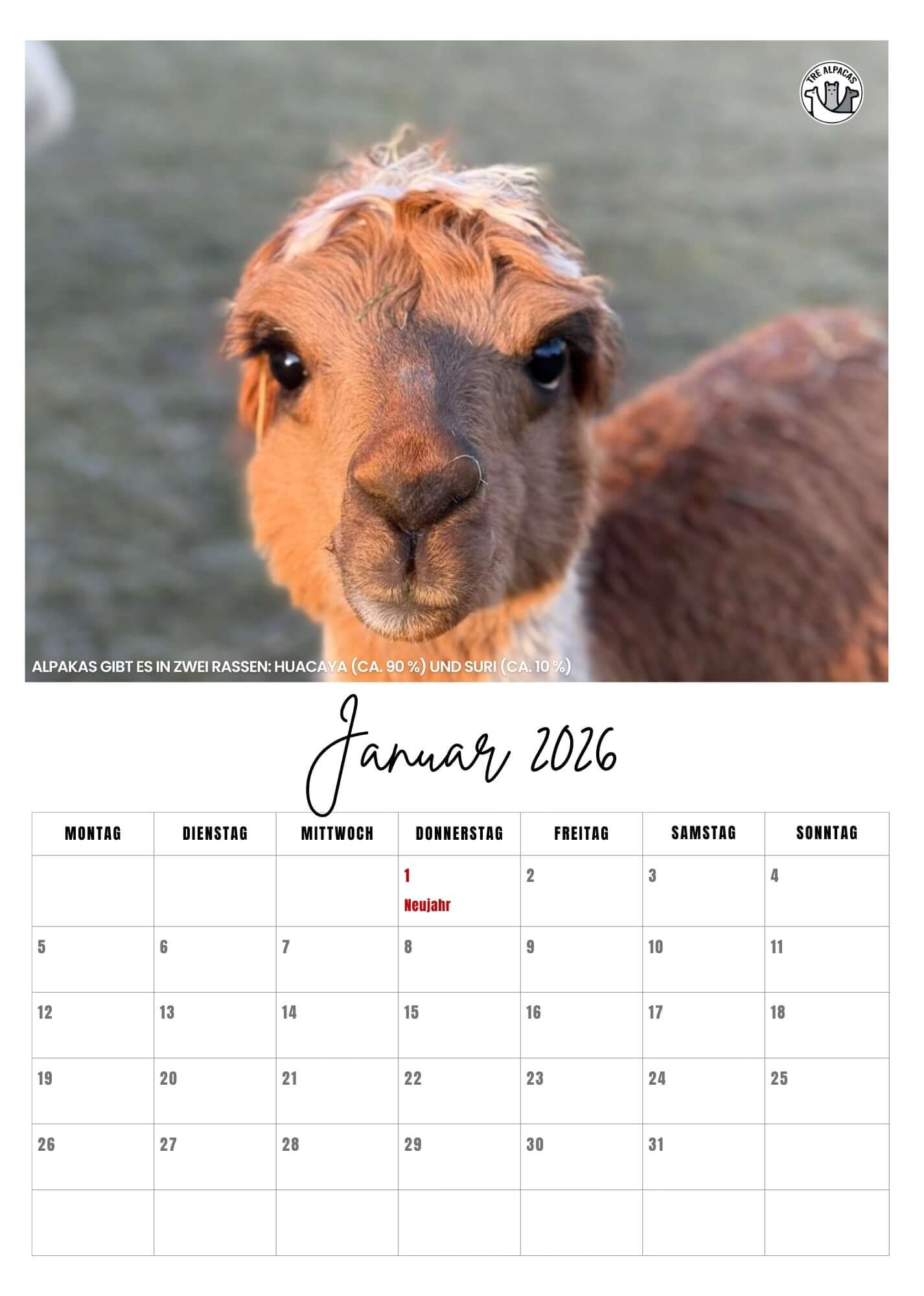 Free PDF Alpaca Calendar 2026 with Alpaca Facts