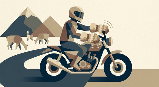 Die besten Alpaka-Handschuhe für Motorradfahrer