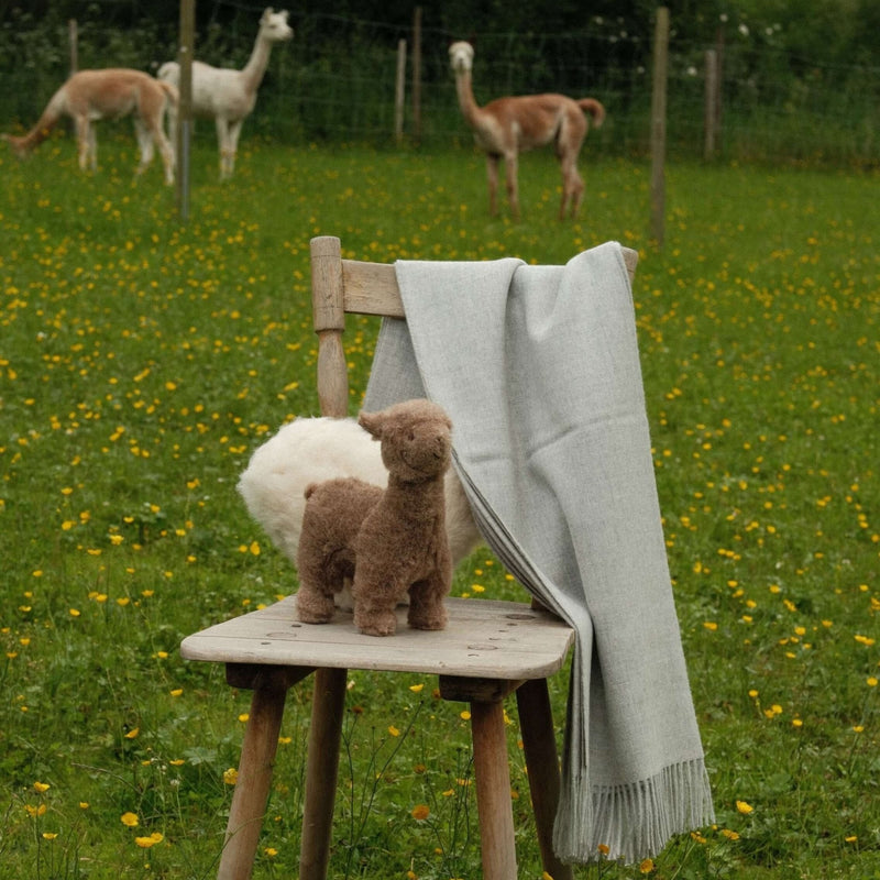 Alpaka Wolle displayed with a plush alpaca toy and a gray scarf on a wooden chair in a green field.