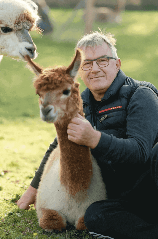 Alpaka Wanderung Senioren 2026: der sanfte Favorit