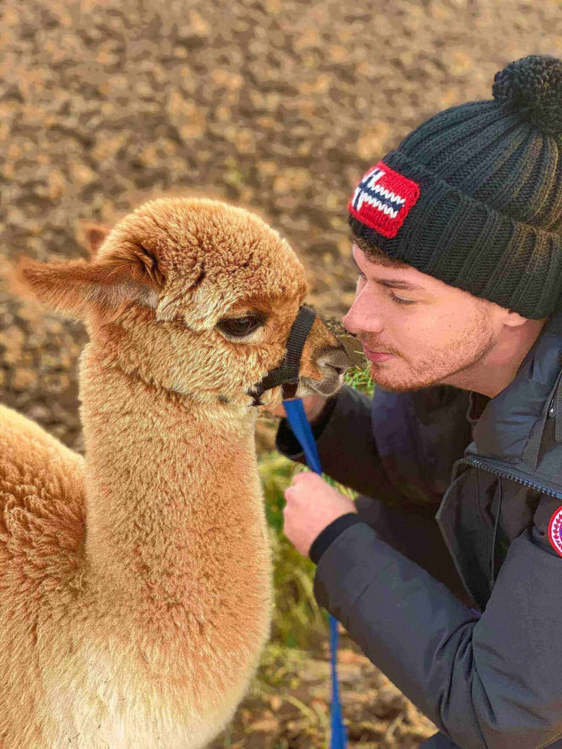 Stille Kämpfe, laute Gedanken #12: Ich bin viele! - tre_alpacas