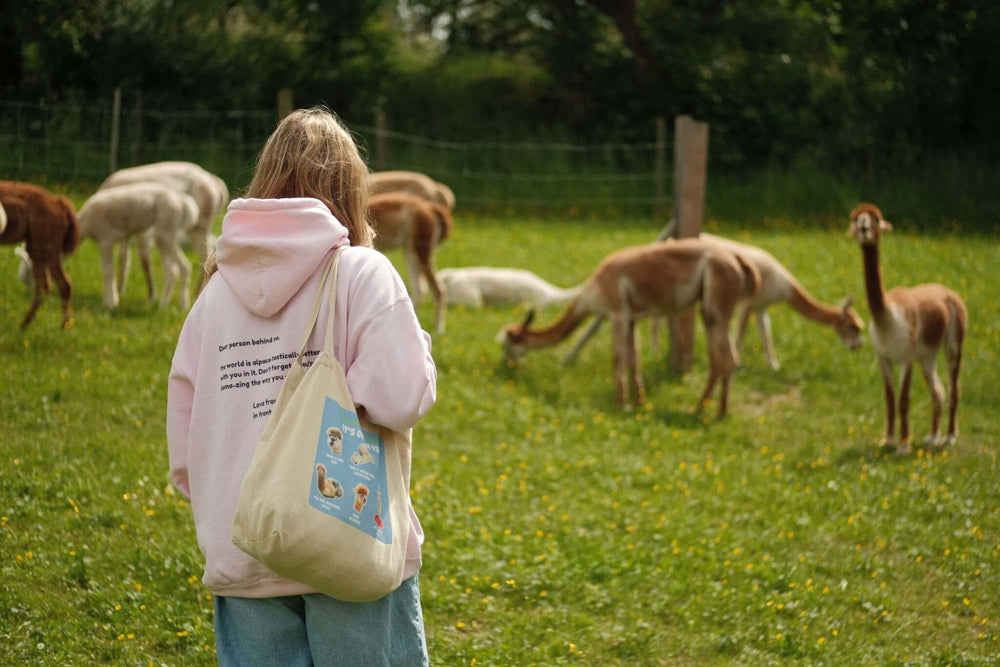 Frau mit Tasche beobachtet niedliche Alpakas auf der Weide, perfekte Szene für Alpaka Geschenke.