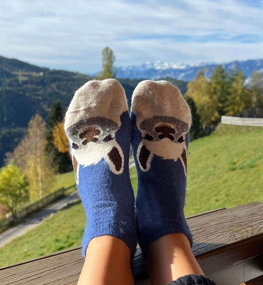 Verspielte Alpaka Sneaker Socken aus Alpakawolle - süßes Alpaka-Motiv & in blau oder grün erhältlich