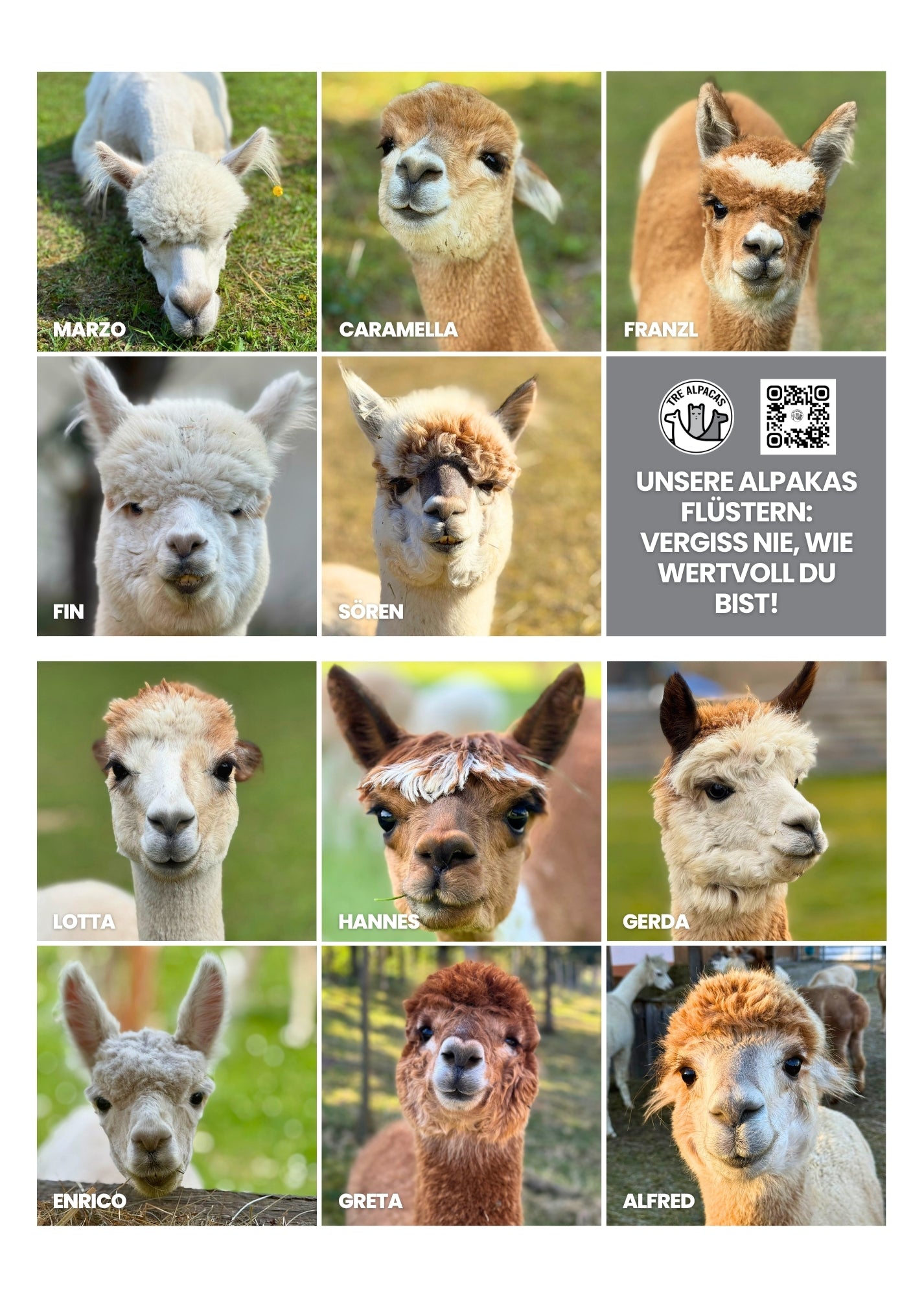 Free PDF Alpaca Calendar 2026 with Alpaca Facts