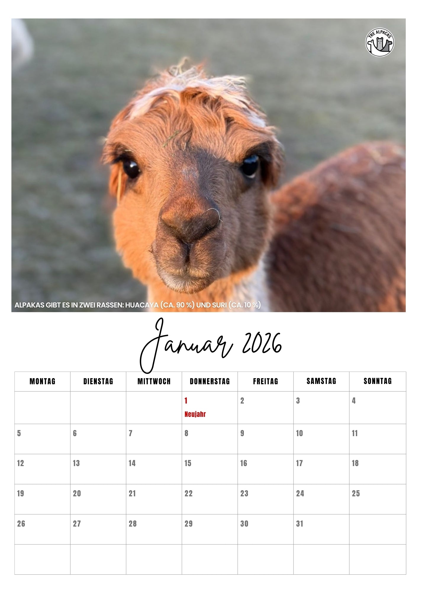 Free PDF Alpaca Calendar 2026 with Alpaca Facts
