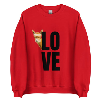 Alpaka Pullover LOVE mit rotem Hintergrund und neugierig blickendem Alpaka Franzl, ideal für Tierliebhaber.